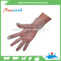 100PCS / Bag Disposable Clean pvc Glove Food Gloves Health Gloves